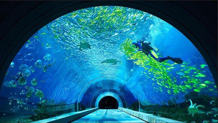 海南三亚天气预报15天旅游攻略,三亚旅游注意事项攻略一定要看看