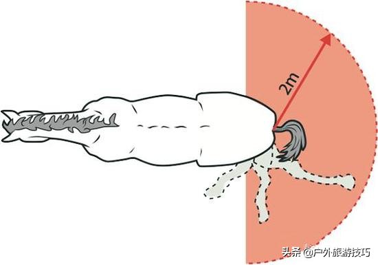 如何纠正马踢人,怎么防止马踢人