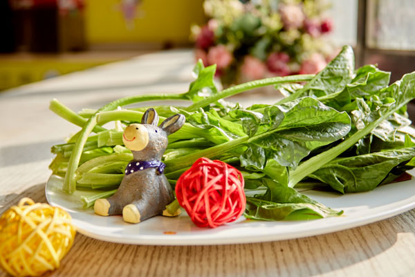 头发出油有头皮屑还脱发怎么办,头发出油脱发用什么洗发水最合适