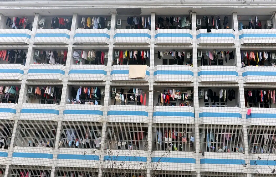 制版行业怎么样,记录了我的成长历程