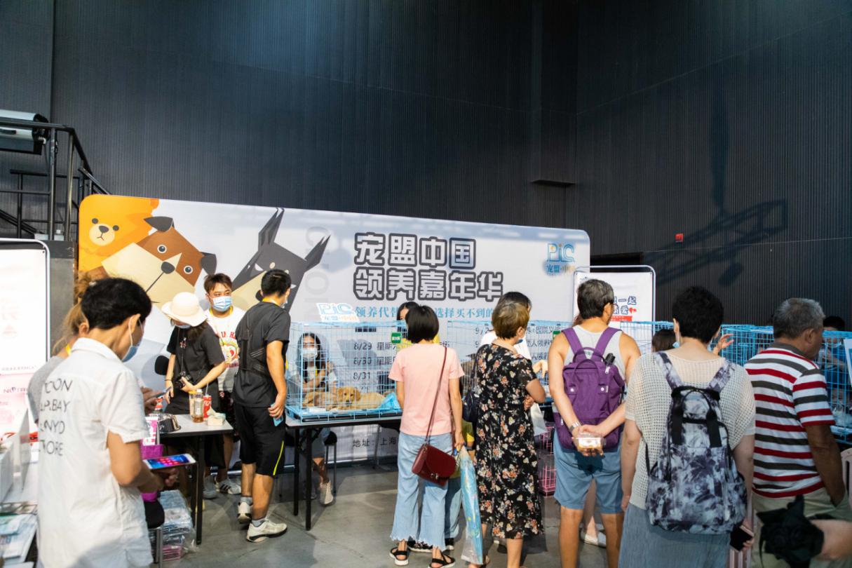 宠爱嘉年华小视频,宠爱嘉年华