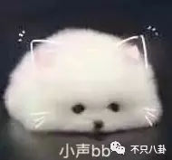 张庭夫妇旗下的微商成员,张庭的微商团队有多大