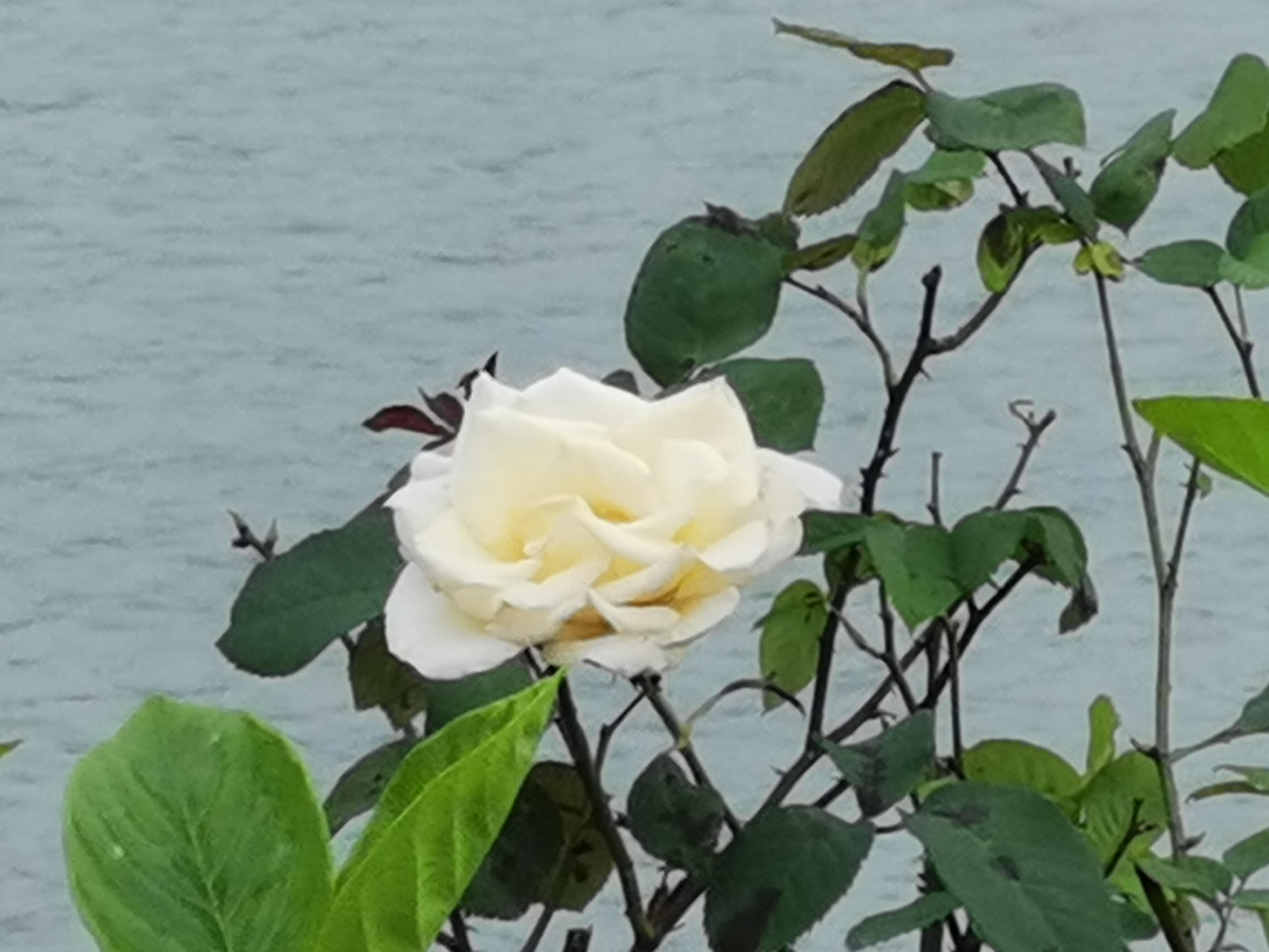 马鞍山风景名胜区,生态画卷美不胜收