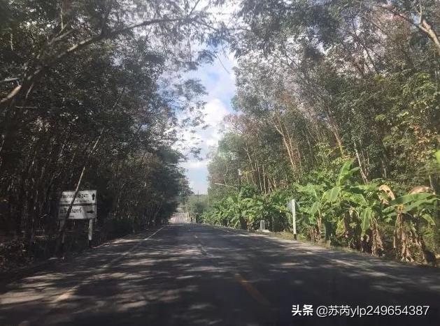 娉板浗澶╃劧涔宠兌鎬庝箞杈ㄥ埆鐪熷亣,娉板浗澶╃劧涔宠兌搴婂灚鐪熷亣杈ㄥ埆