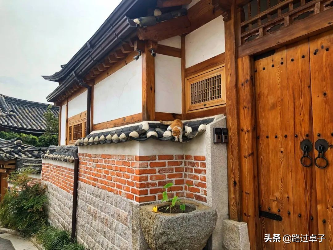 爱的迫降10集世莉首尔相遇,首尔怎么玩转