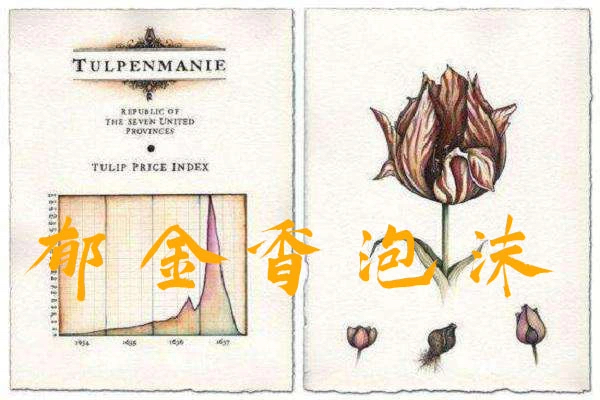 郁金香泡沫的历史走势,郁金香泡沫是真实的吗