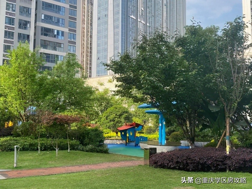 照母山的重点中学,照母山优质学区