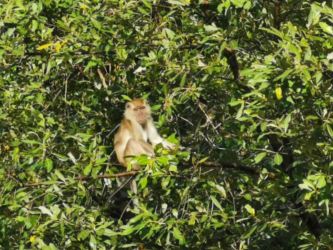 昨日重现2019完整版,昨日重现新加坡