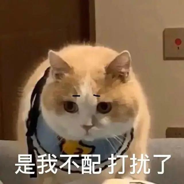 沈阳生活有什么幸福感吗,沈阳几次获选幸福感城市