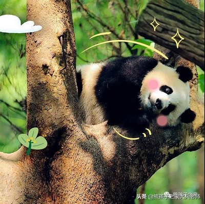 熊孩子冬令营创始人,熊孩子之家夏令营