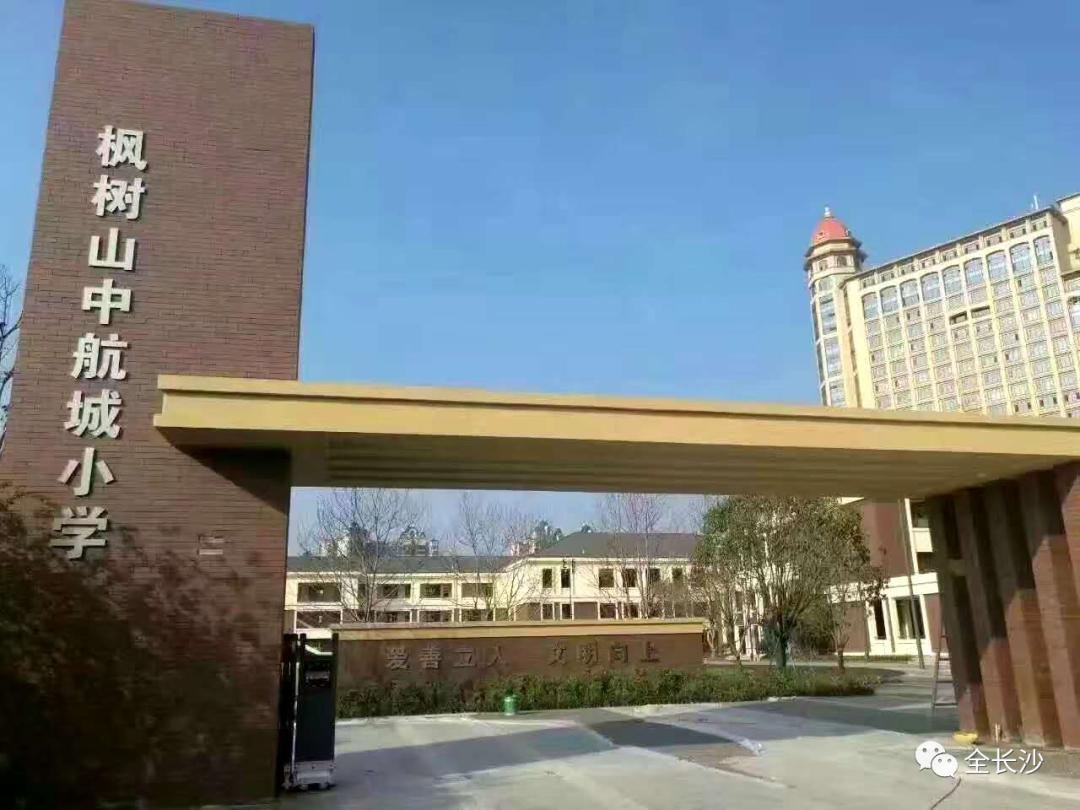 长沙市枫树山集团,湖南长沙实力最强的企业有哪些