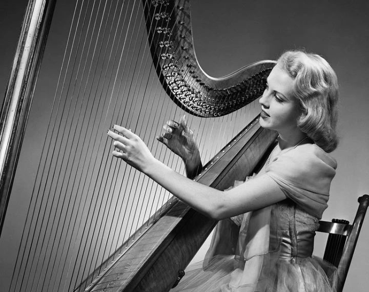 十大适合新手的乐器,所有乐器里哪个最有气质