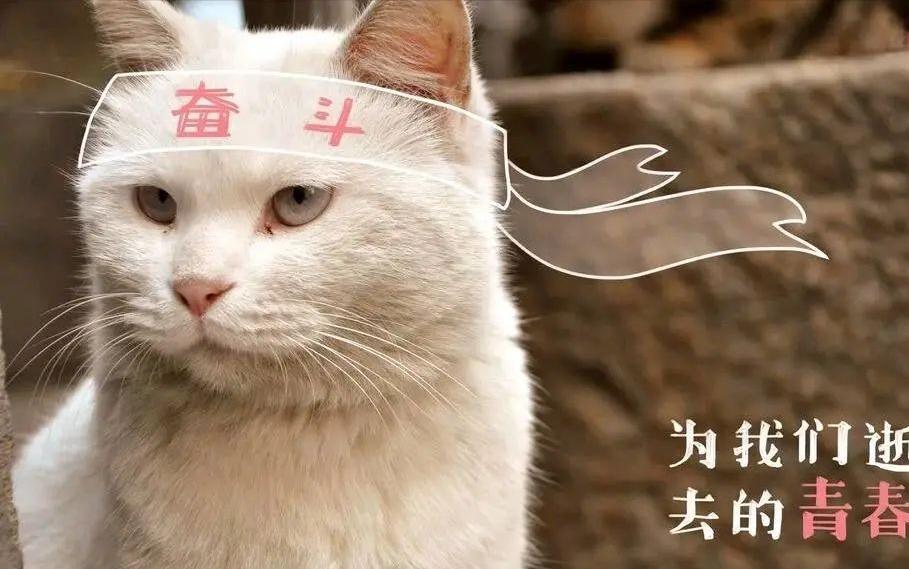 轻松祛斑根本不可能！找准原因长期坚持，才能将它逐步淡化