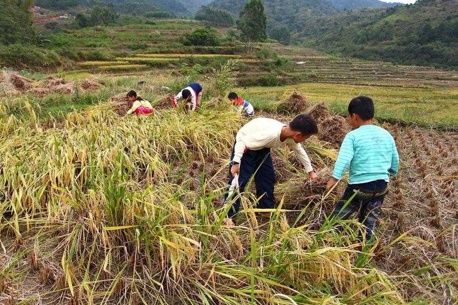 我们的十岁成人礼,我们的成人礼片段