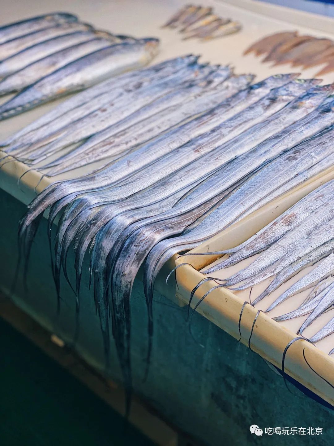 朝阳区海鲜市场,北京朝阳区海鲜市场