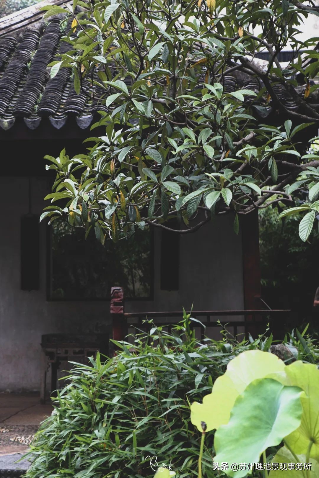 给我讲解一下拙政园的来历,拙政园最完整的讲解