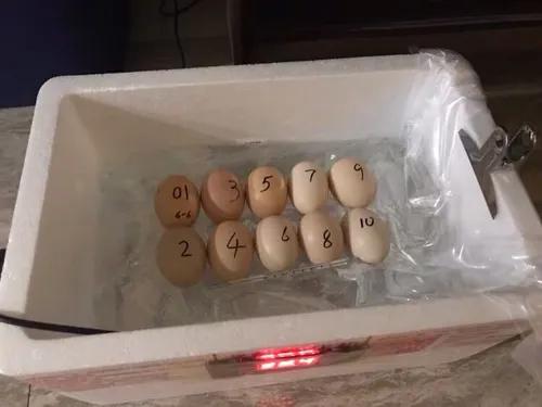 农村十大赚钱职业,农村最赚钱的4个行业