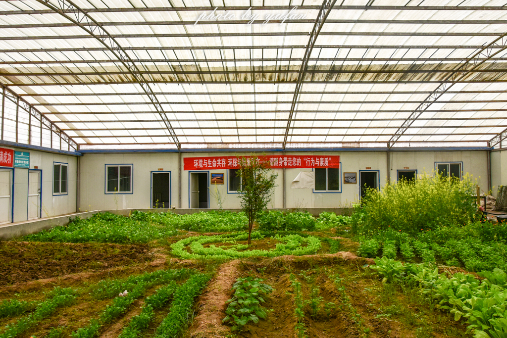 最简陋的乡政府大楼,中国最大的乡政府办公大楼在哪里