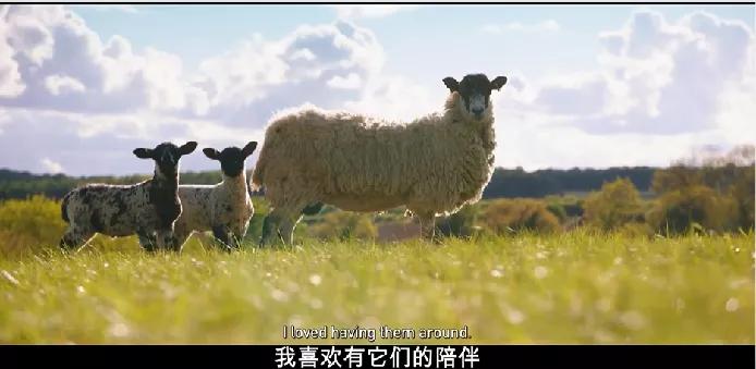 豆瓣9.6，这个“英国版李子柒”承包了我本月的笑点