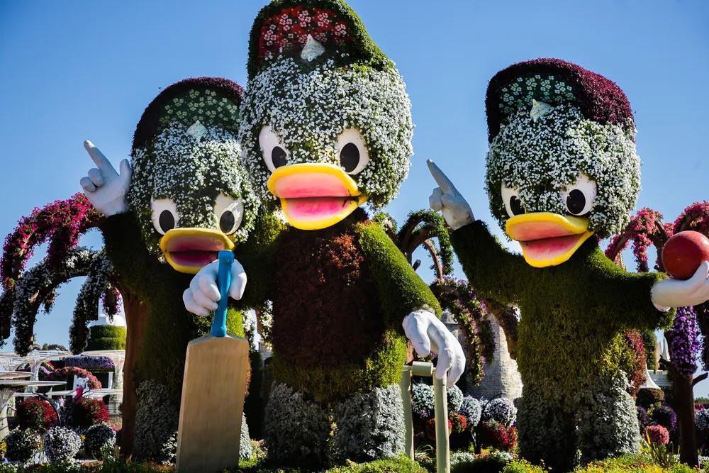 7月1日免签入境的游客,入境中国旅游免签最新规定