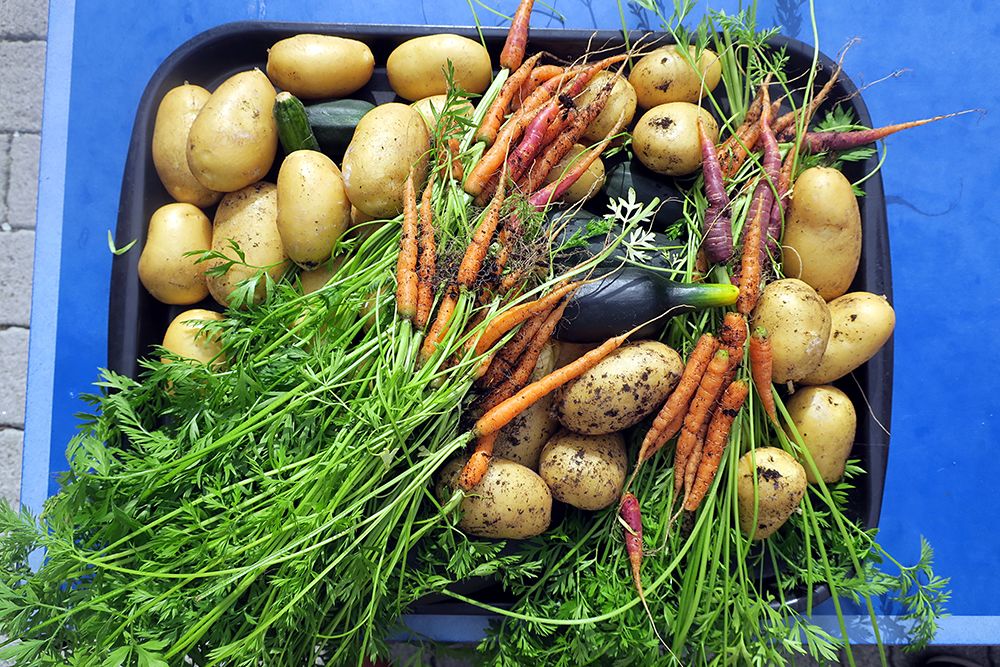 多塞特丨克雷斯莫学校