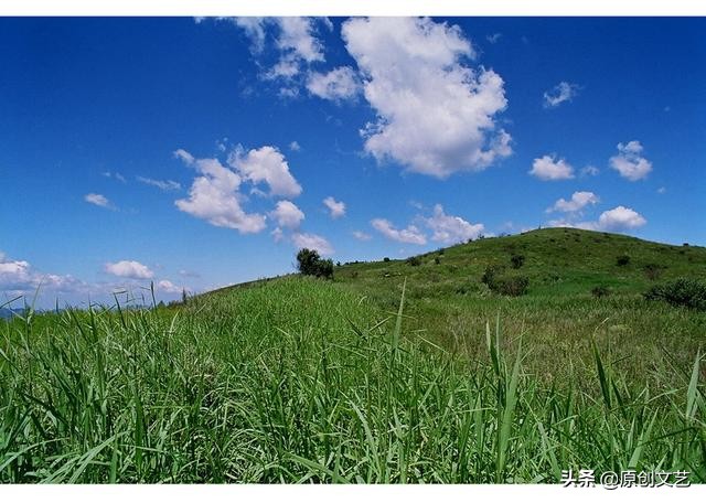 井陉征歌展播：《这么近，那么美，井陉景行》，醉美是井陉