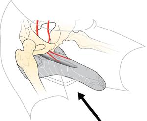 怎样调节骑行车座高度,骑行车座怎么调整