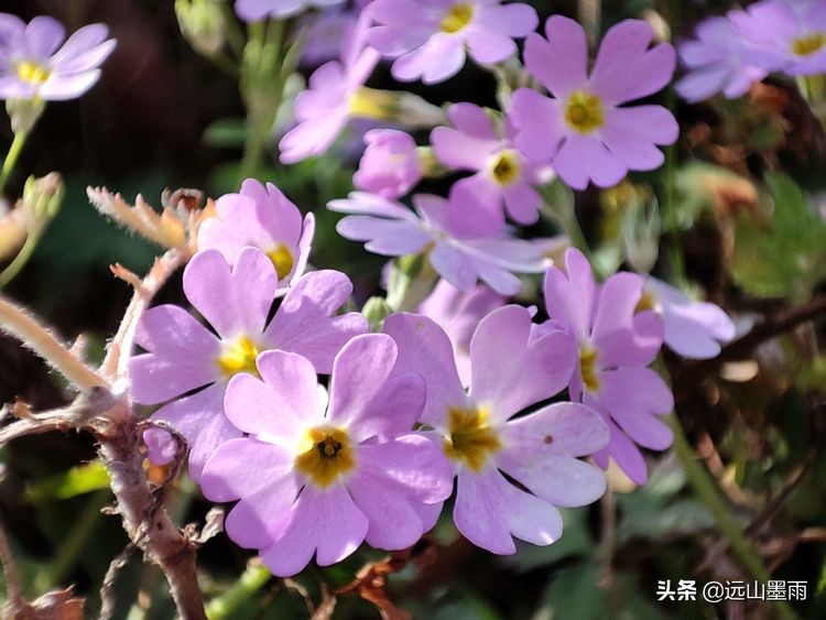 昆明谷堆山攻略,昆明棋盘山徒步攻略