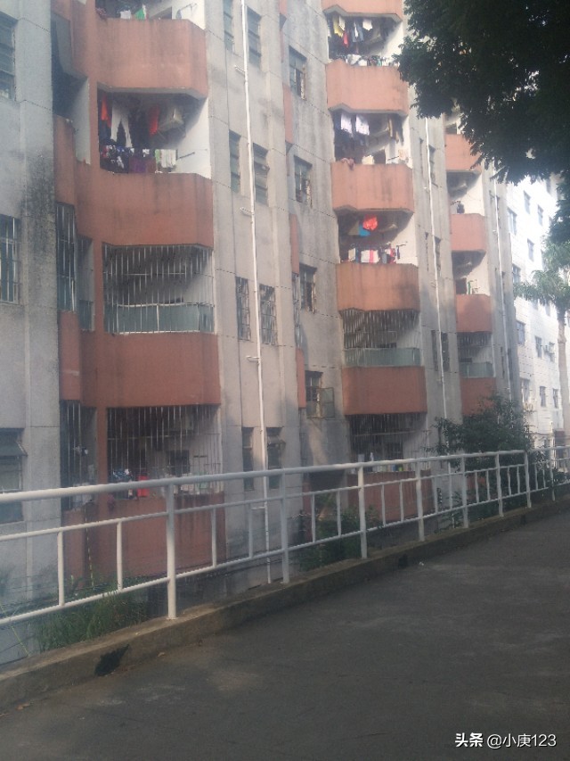 我眼中的岭南师范与广药大。