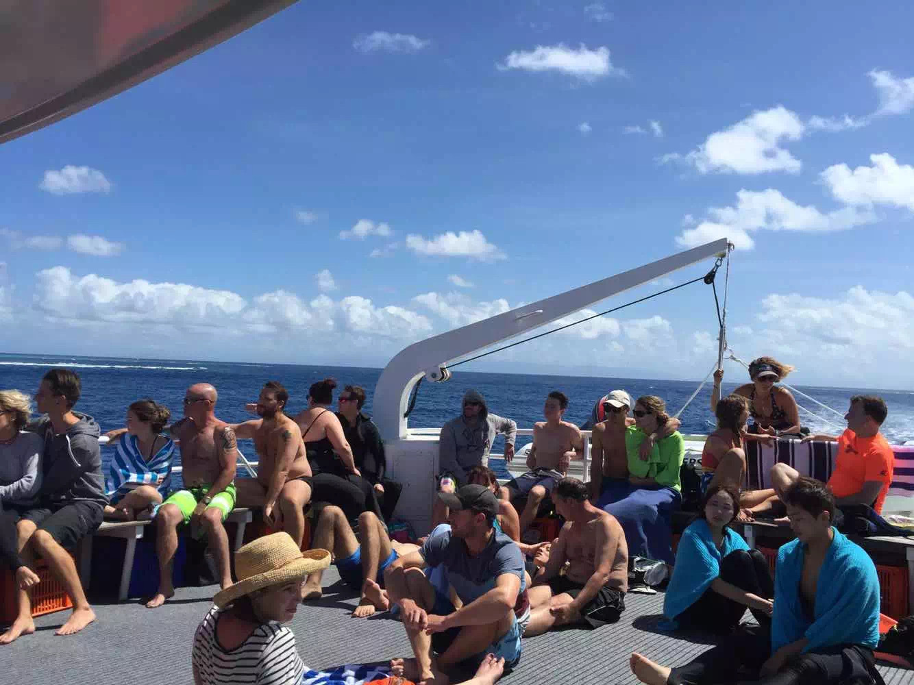 国外澳大利亚生活日常,海外生活澳洲