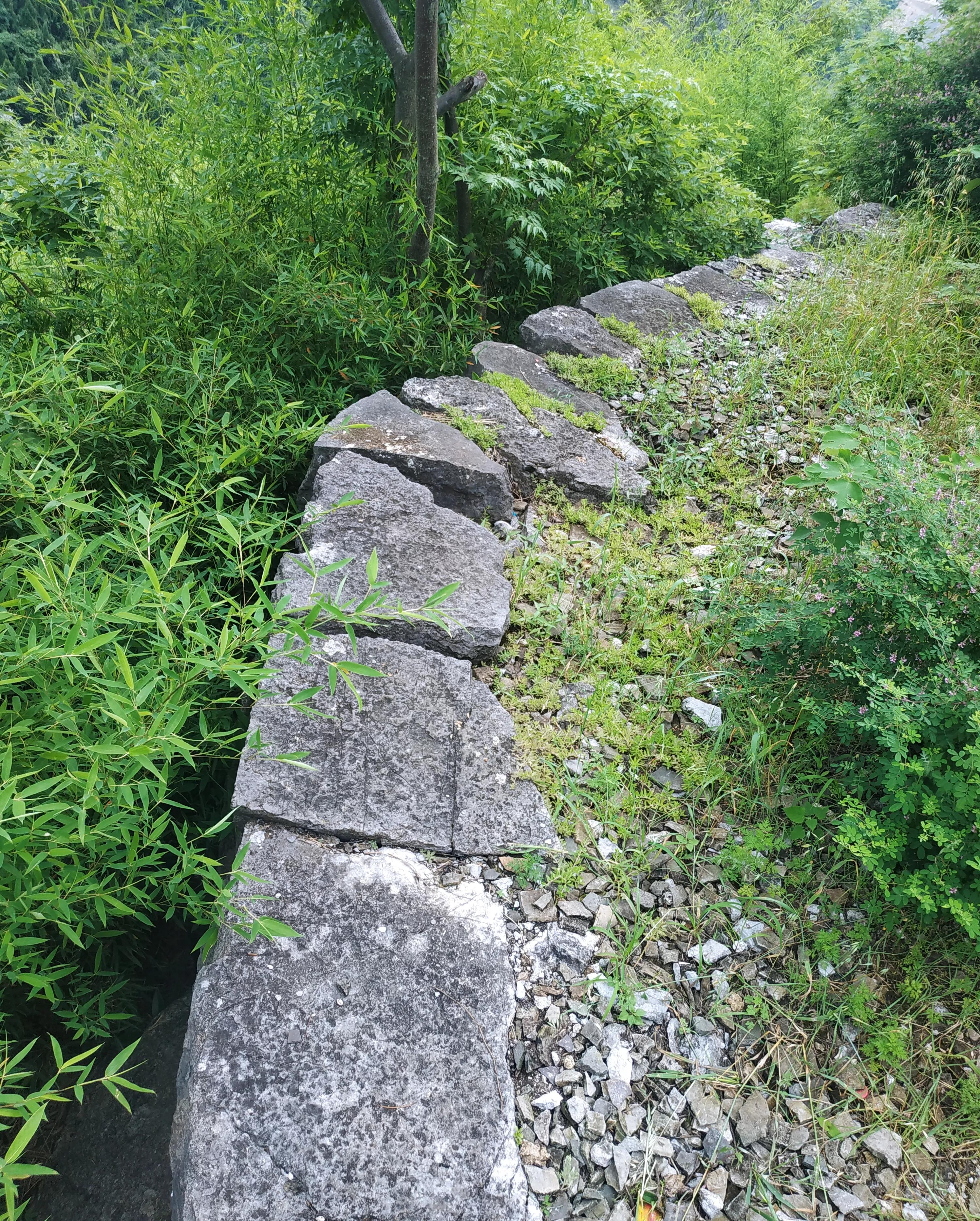 新田航拍全景视频,永州白米寨