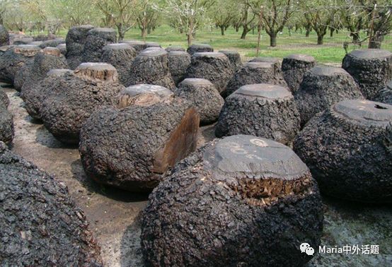 美国硬木干货价格,北美硬木排行