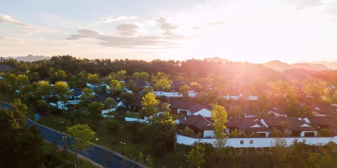 安吉桃花源逸竹,安吉江南桃花源