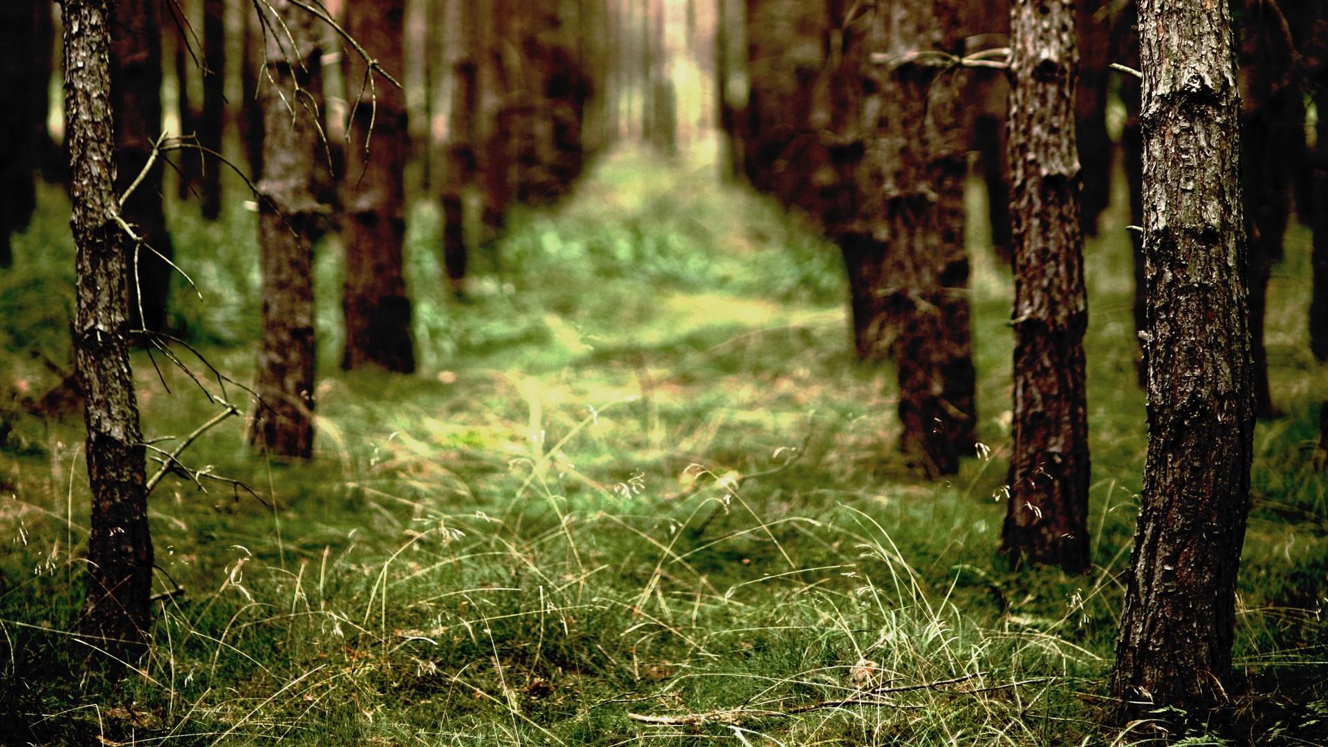 金蝶迷你版全部审核怎么操作,金蝶kis迷你版如何建下年的账套