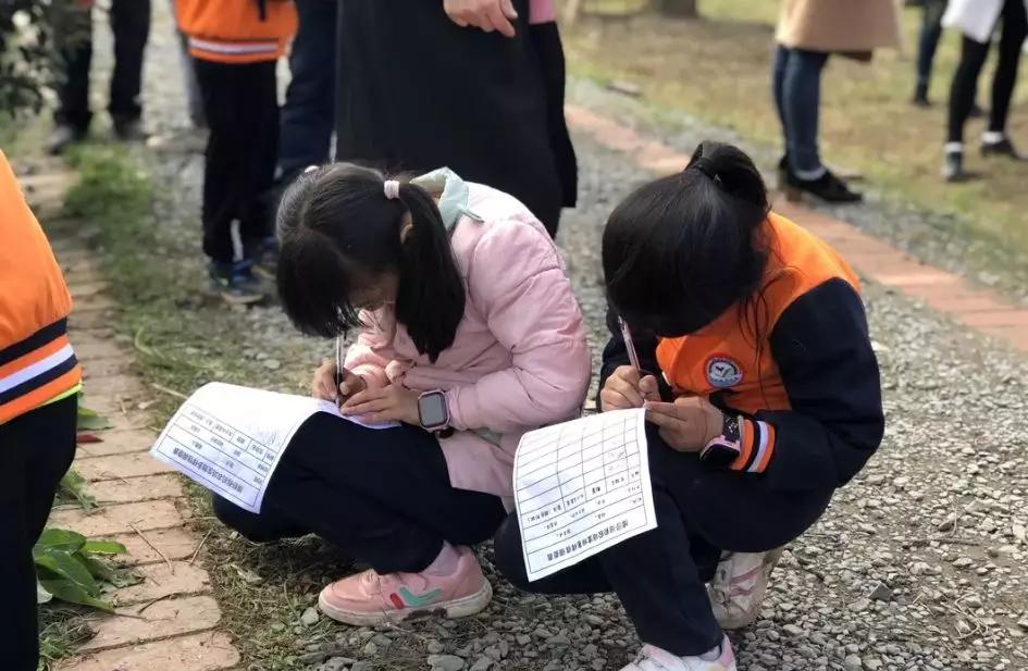 有机农场的盈利模式,生态农场亏损如何盈利