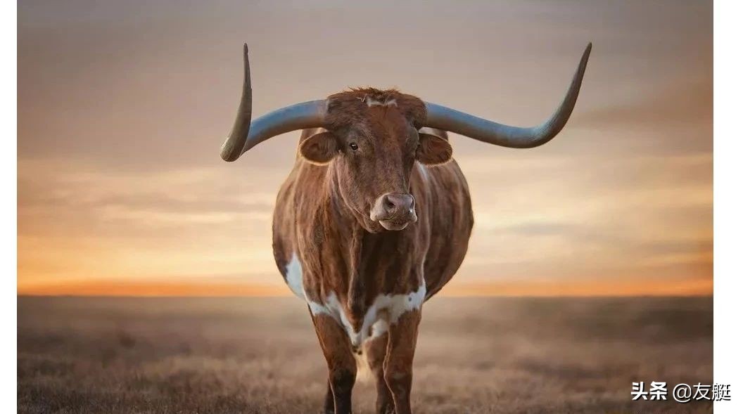 中元节的恐怖遭遇,中元节为什么人能听到鬼市喧闹声