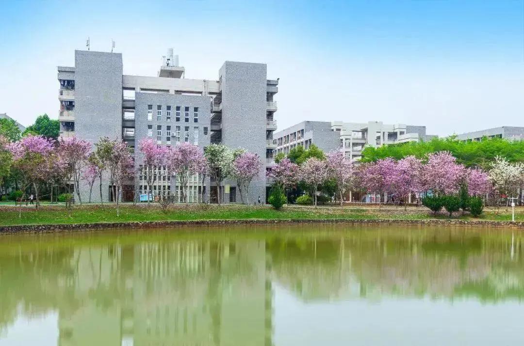 广东最好的高职32所,广东深职学院最低排名