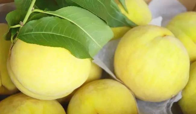 这才是上海最好的牛肉面,近期上海最牛的区