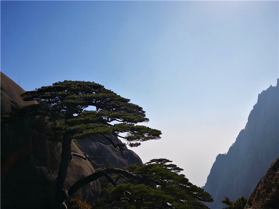 旅行社老年人跑路,老年旅行社跑路