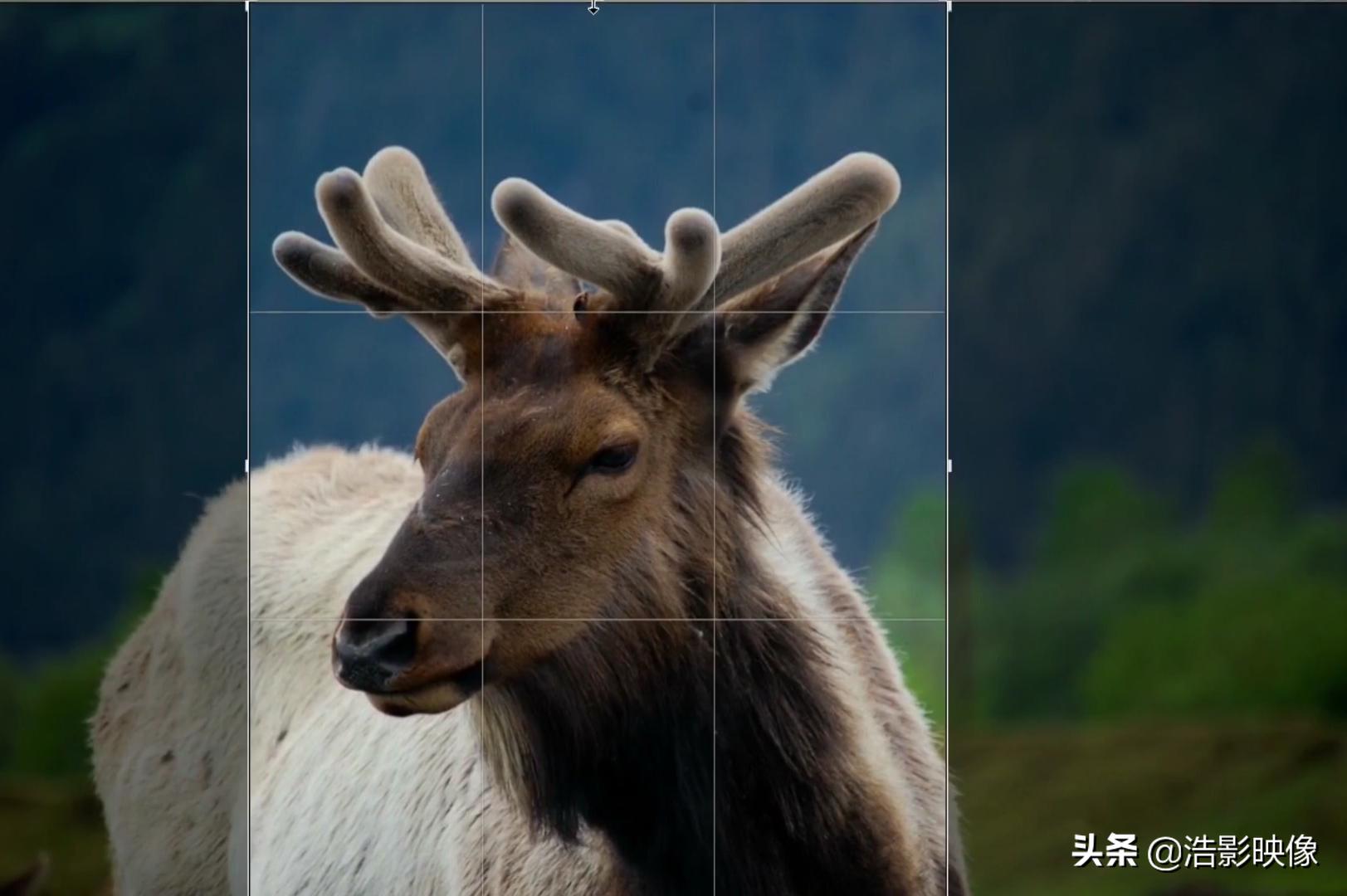 数字变焦和光学变焦倍数一样吗,光学变焦和数码变焦的相同之处