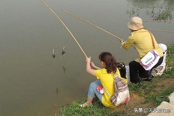 如何正确的钓小龙虾,钓小龙虾最简单高效的方法