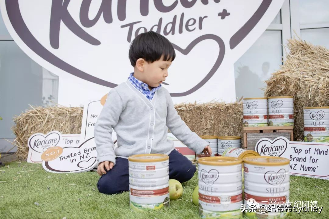 可瑞康原装进口奶粉,可瑞康奶粉澳洲价格