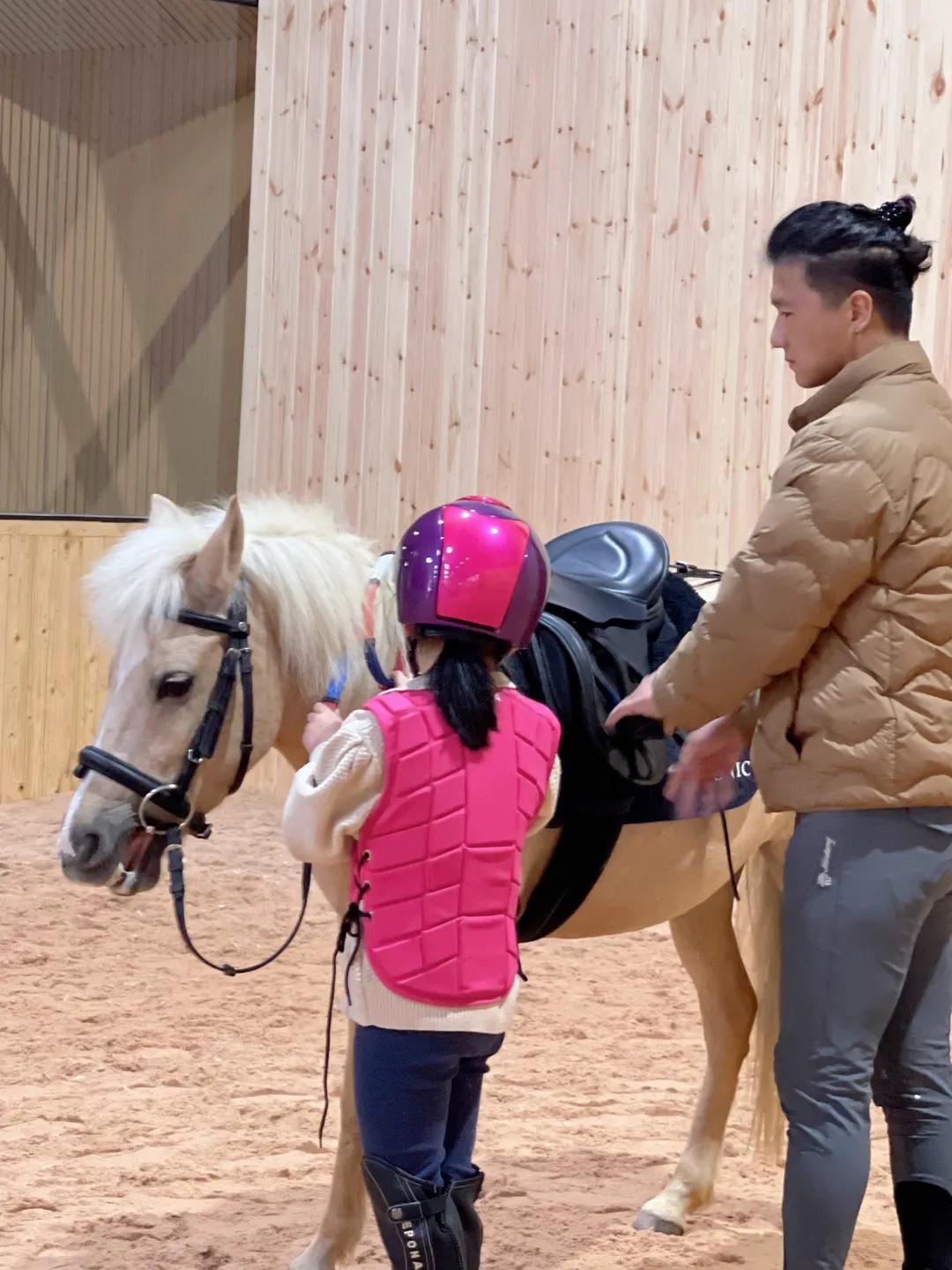 徐州英骐国际马术,徐州英琪国际马术中心