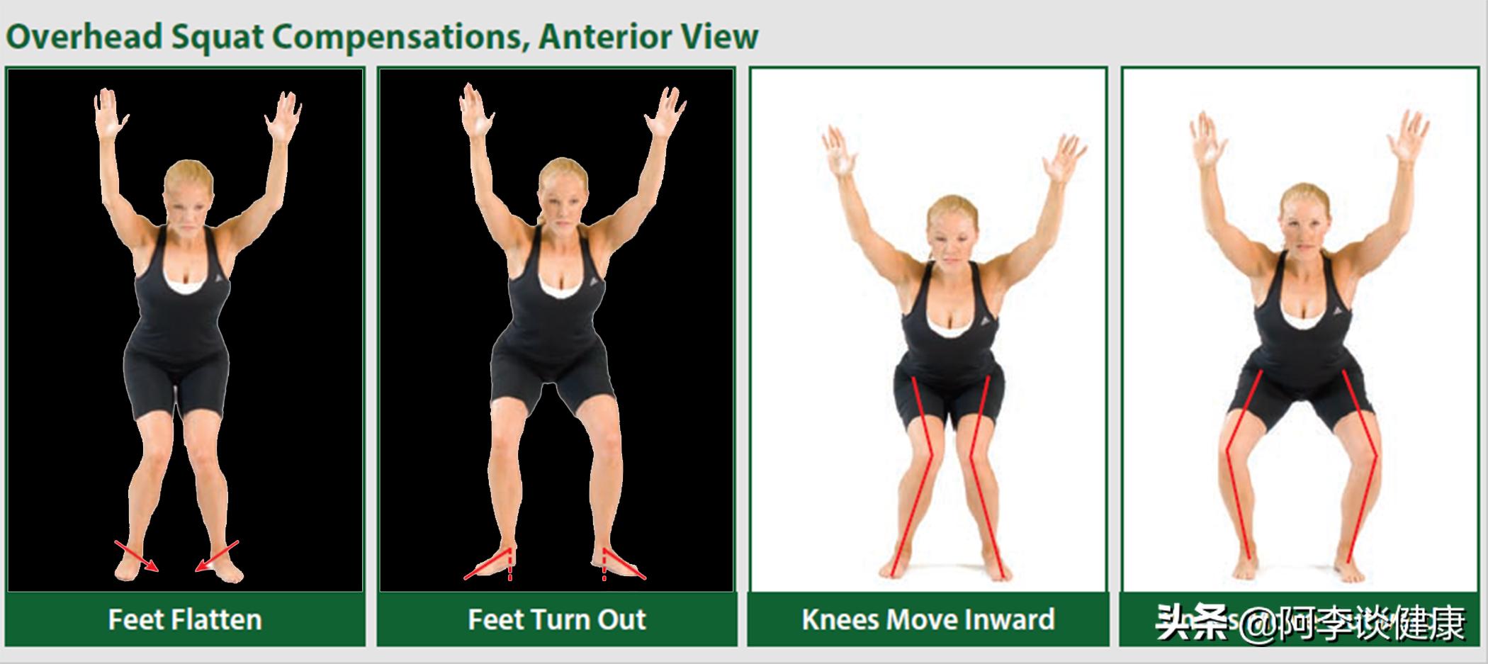 腹股沟拉伤康复训练计划,内收肌和腹股沟拉伤有什么区别