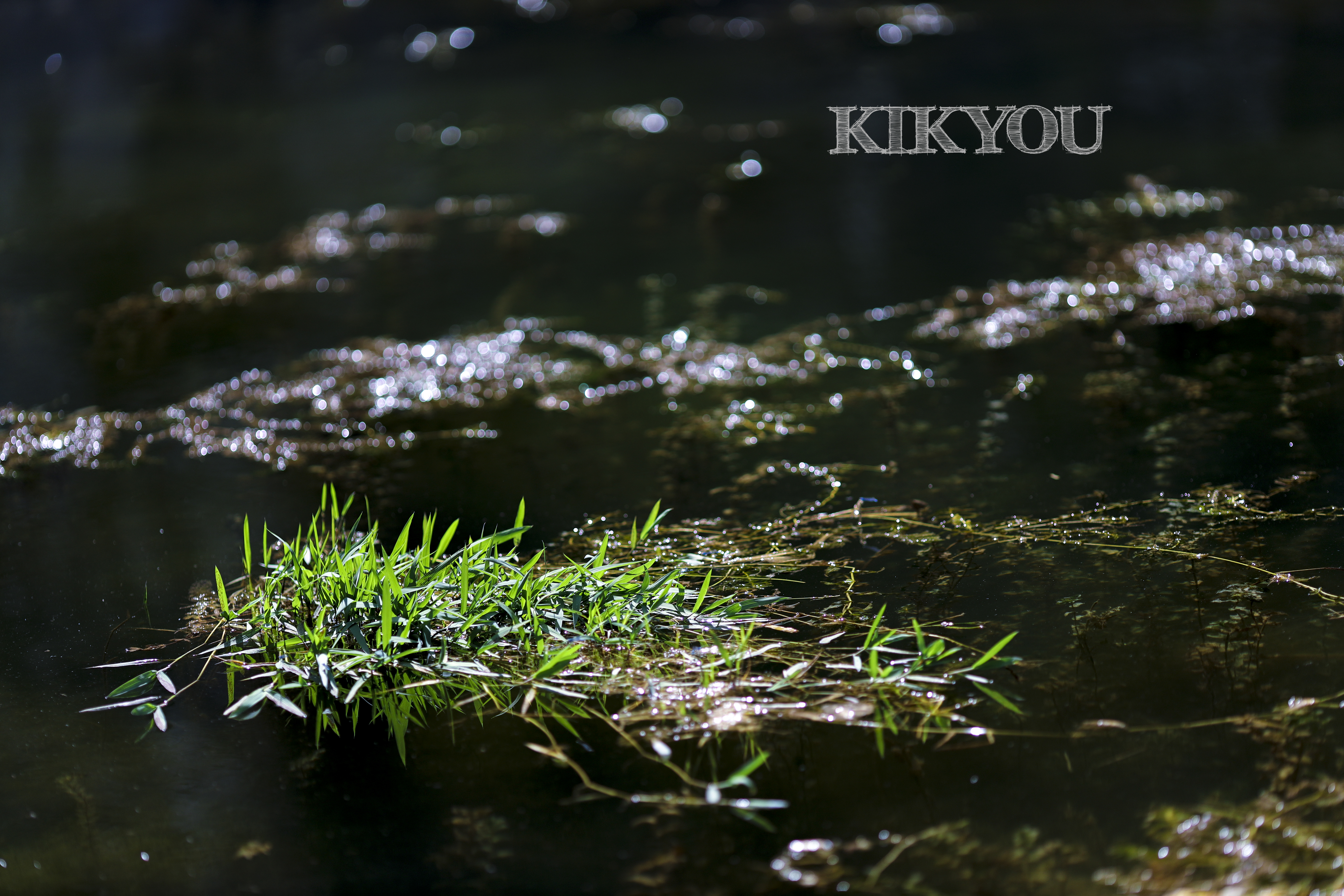 glb旅行改装,奔驰glb露营