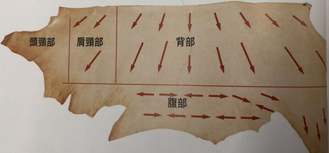 皮具常识,皮具女包专业知识