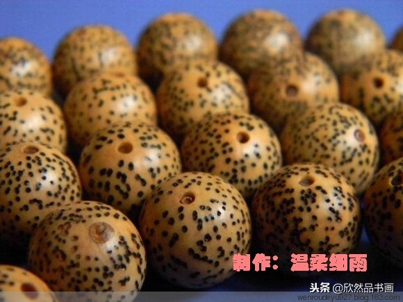 菩提子种类与寓意,手把件菩提子种类