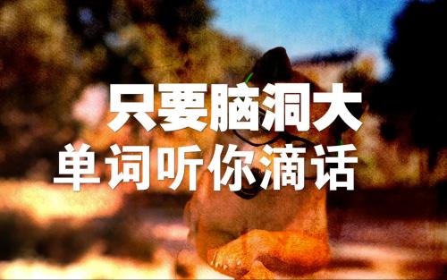 雅思单词用哪个app好,背雅思单词最好的app