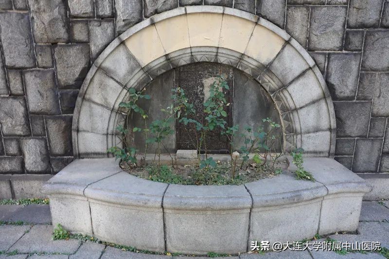 博古通今纵览,小编带你逛医院