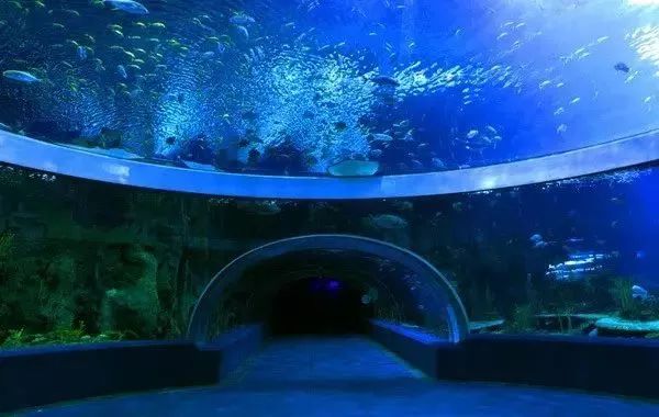 长隆过寒假解锁活力童年,寒假适合带孩子去长隆吗